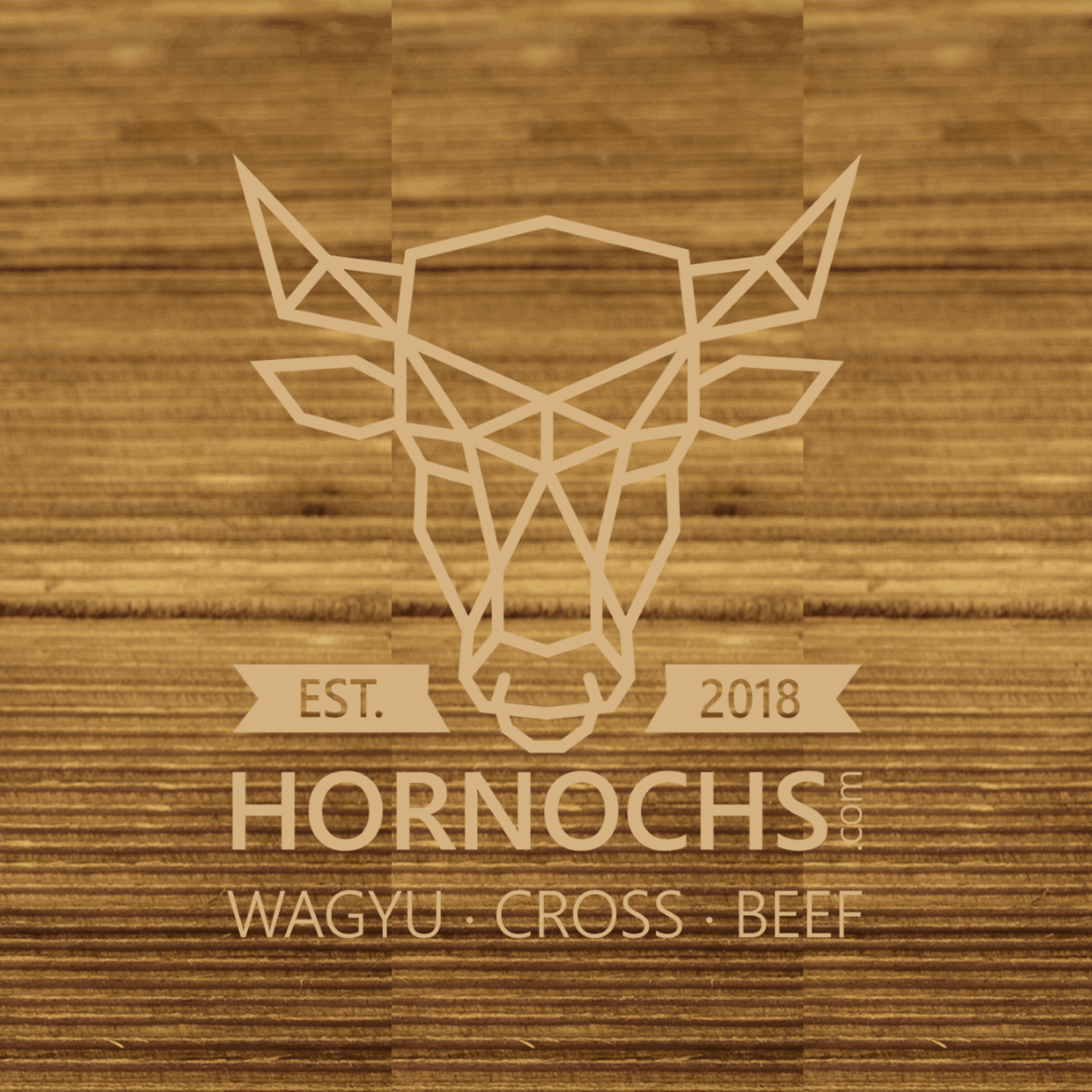 Hornochs Premium Beef